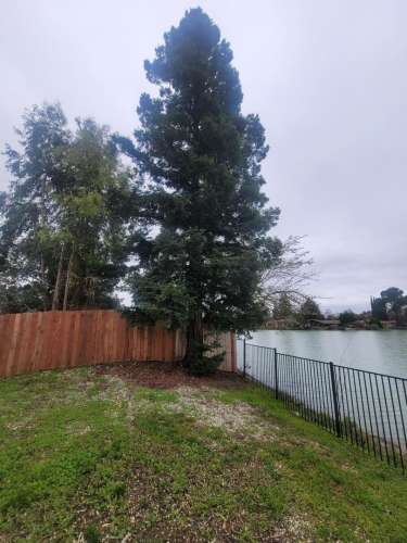 S Bed Lakeshore Apartments - Lake Views! 249