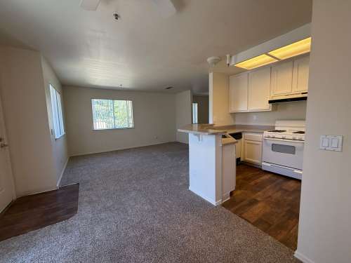 S Bed Lakeshore Apartments - Lake Views! 256