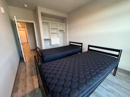 S Bed Clover Commons 428