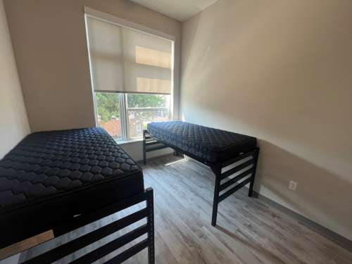 S Bed Clover Commons 495