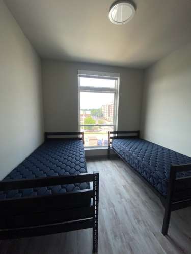 S Bed Clover Commons 201