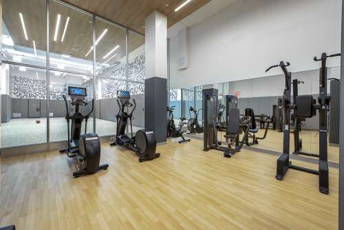 S Bed 1440 Amsterdam Avenue 19