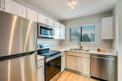 S Bed The Junction Fort Collins 28