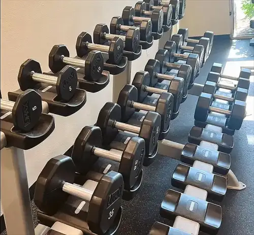 S Bed The Junction Fort Collins 10