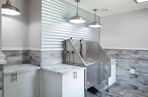 S Bed The Junction Fort Collins 4