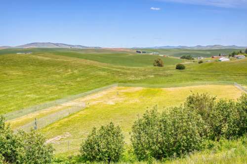 S Bed Birch Hills Apartments 71