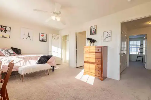 S Bed Copper Beech at San Marcos 24