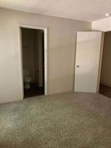 S Bed University Court 245