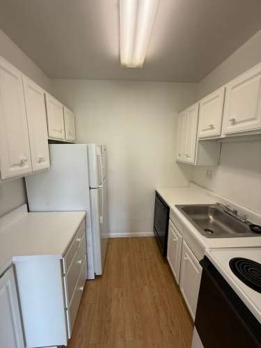 S Bed The Royal York Apartments 103