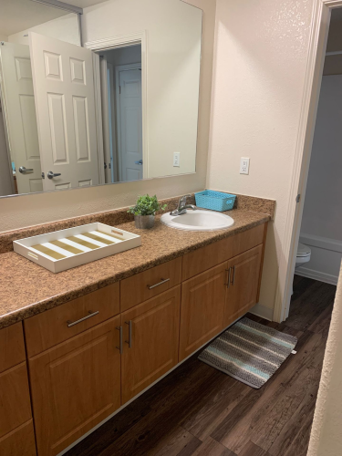 S Bed University Court 263