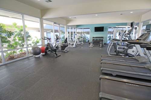 S Bed University Court 228