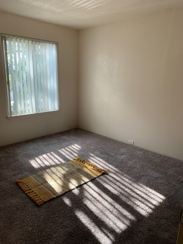 S Bed University Court 260