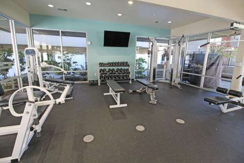 S Bed University Court 196