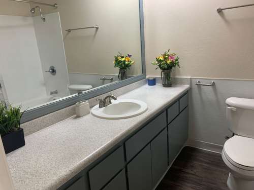 S Bed University Court 392