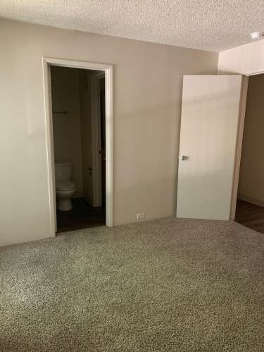 S Bed University Court 223