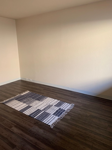 S Bed University Court 255