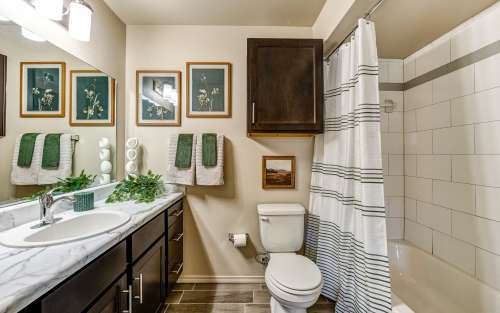 S Bed Icon at Hewitt 11