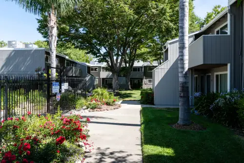 S Bed Aggie Square 3