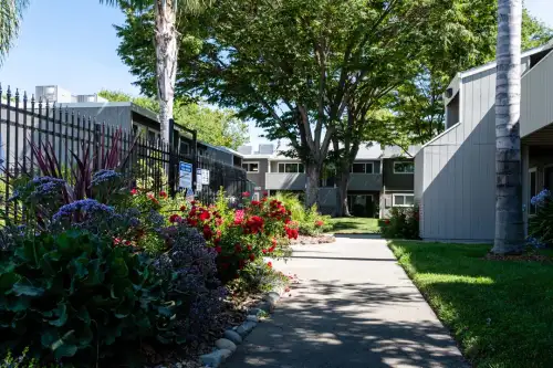 S Bed Aggie Square 16