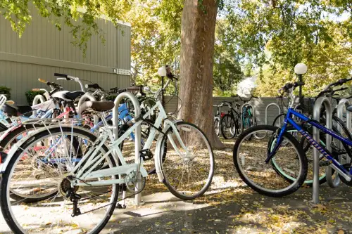 S Bed Aggie Square 22