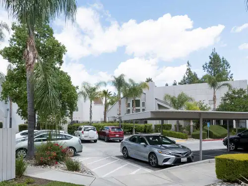 S Bed Fountain Circle 2