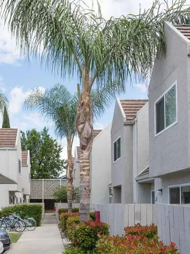 S Bed Fountain Circle 3