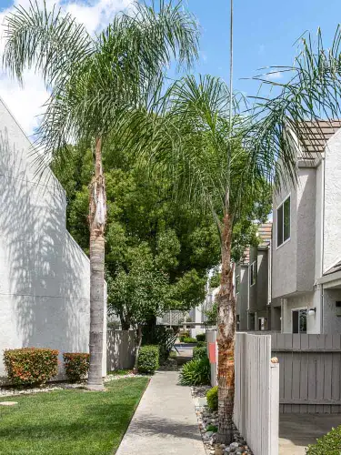 S Bed Fountain Circle 7