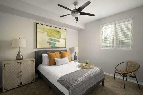 S Bed The Cleo Tempe 4