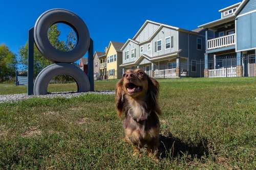 S Bed Collective at Columbia 13