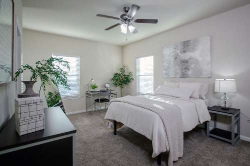 S Bed Collective at Columbia 48