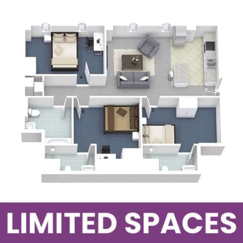 S Bed University Lofts 53