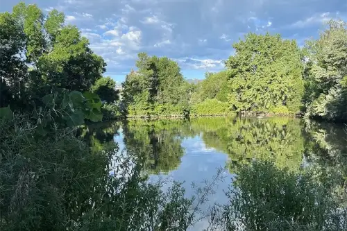 S Bed The Alpine Fort Collins 5