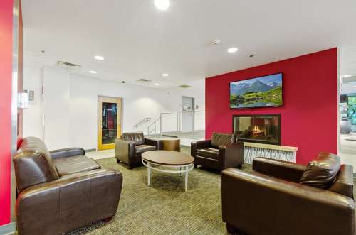 S Bed The Statesider 2