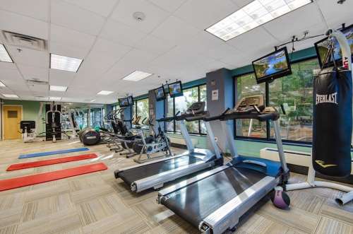 S Bed The Statesider 8