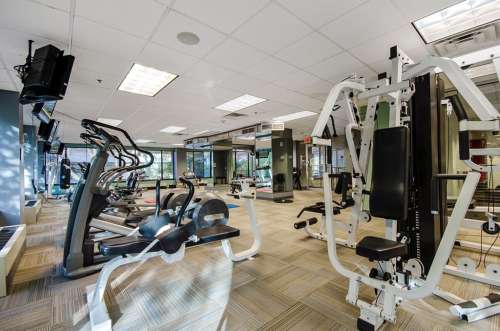 S Bed The Statesider 10