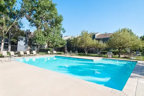 S Bed The Alpine Fort Collins 1