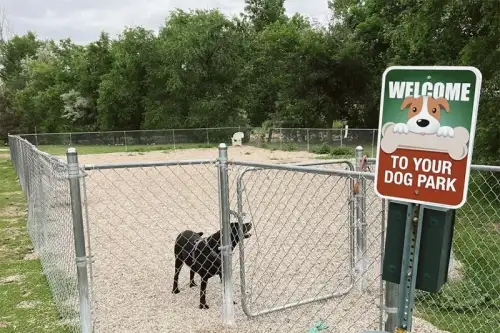 S Bed The Alpine Fort Collins 4
