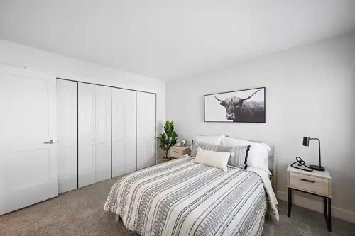 S Bed The Alpine Fort Collins 12