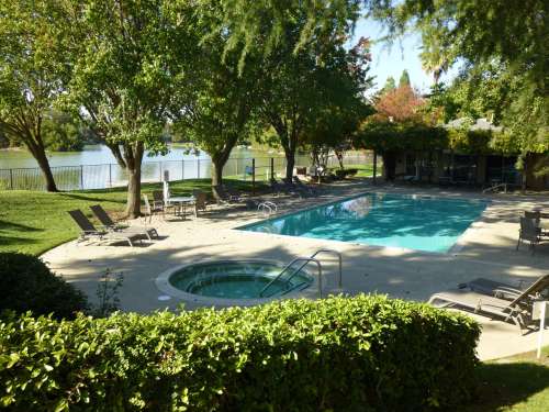 S Bed Lakeshore Apartments - Lake Views! 4