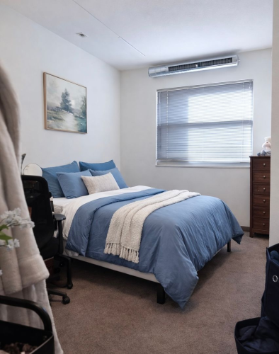 S Bed Humbucker Apartments 99