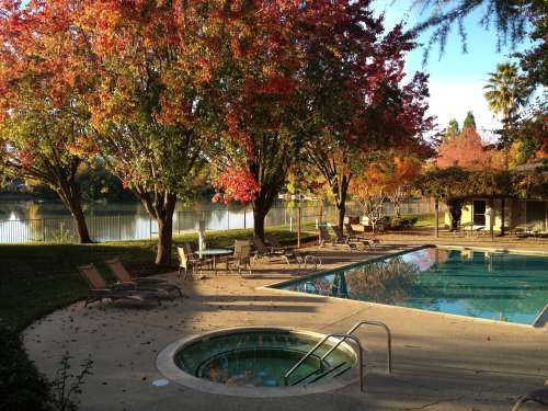 S Bed Lakeshore Apartments - Lake Views! 3