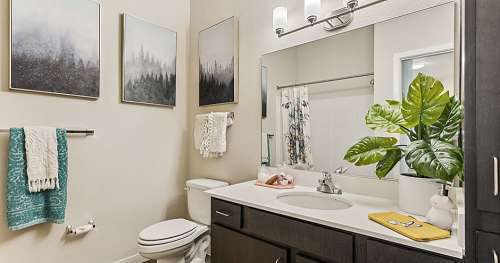 csu-University-Apartment-18669862