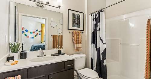 csu-University-Apartment-18669864