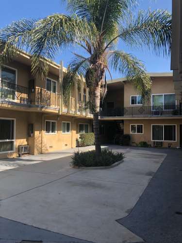 largephrAc1775758579.jpg
