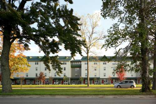facade_trees_raod